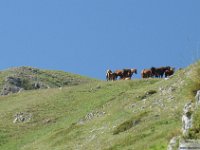 2026-06-13 Da m. San Nicola al Sirente 071